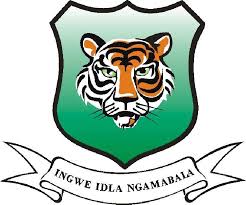 Ingwe TVET College logo
