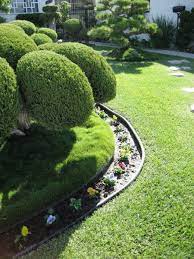 Japanese Garden Plants Trees 9 Traditional Japanese Plants For Your Gan The Spruce The Mountainous Topography Of Japan Means That A W Variety Of Plants Thrive