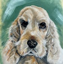 Profile for Lorraine Nulty