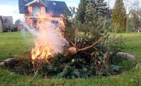 Informationen zum heckenschnitt und was wann erlaubt ist, finden sie im artikel Thuringen Keine Brenntage Mehr In Thuringen Ab 2016 Thuringen Insudthuringen