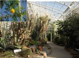 Wiedereroffnung Der Gewachshauser Im Botanischen Garten Es Wird Moderner Und Besser