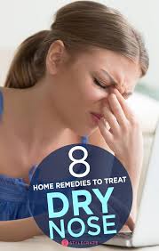 8 Home Remedies To Treat Dry Nose Dry Nose Dry Nose Inside Sores Inside Nose