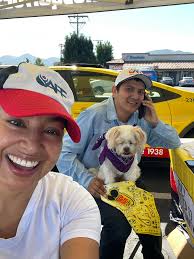 There's no infestation, it's just a family reunion.