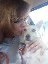 What are your dogs' different names?