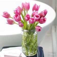 The most common tulip bulb vase material is ceramic. How And When Do I Cut Tulips To Put Them In A Vase Better Homes Gardens