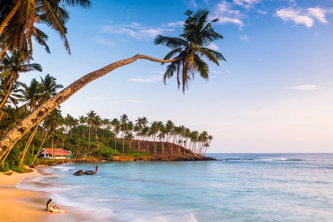 Mirissa Beach horseshoe bay whale watching Parrot Rock viewpoint south coast Sri Lanka November April season
