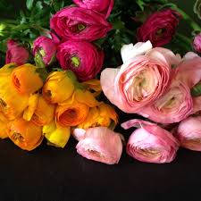 We can help you with any flower needs from daily. Austin Flower Company Home Facebook