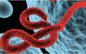 Now the game is only sold here: Ebola Outbreak Democratic Republic Of Congo Reports 2 New Deaths