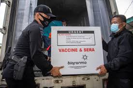 Sinovac and sinopharm's jabs are yet to finish final trials, but are already being shipped overseas. Thailand To Get 2 Million Shots Of China S Sinovac