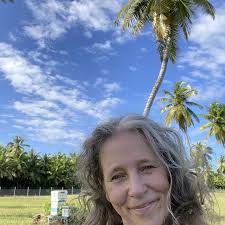 Golden Bee Productions Documentary Bees