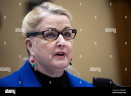 Energy Dept. Inspector General Teri Donaldson testifies during a House  Energy and Commerce Subcommittee