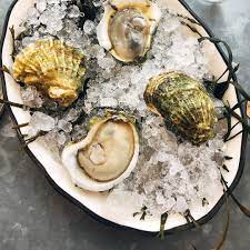 Pin On In A Half Shell