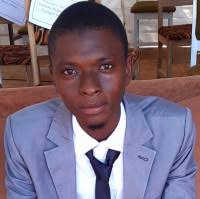 Les professionnels, salariés, free-lances et entrepreneurs du Mali