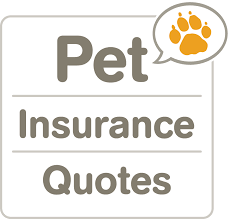 Over 1 000 000 Pet Insurance Quotes Delivered