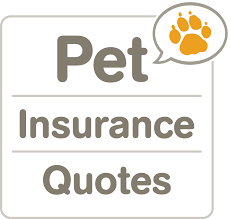 over 1 000 000 pet insurance quotes delivered