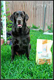 Rachael Ray Nutrish Zero Grain Dog Food Review Dog Food Reviews Food Animals Animal Nutrition