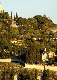 Garden Of Gethsemane Jerusalem Schone Orte See Landschaft