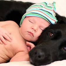 Peter Hackney 💙#KeepOurNHSFree (@Grandpa_Pete)