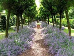 Google Search Garden Design Dream Garden Manor Garden