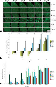 After reading this article you will learn about: Modulation Of Mammalian Cell Behavior By Nanoporous Glass Emmert 2021 Advanced Biology Wiley Online Library