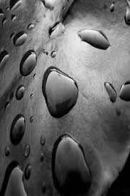 Check spelling or type a new query. 47 Free Moving Wallpaper For Iphone On Wallpapersafari