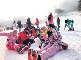 We did not find results for: 5d4n Korea Winter All In Tripfez Travel