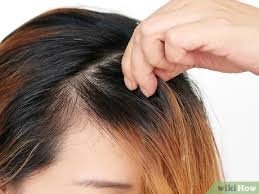 After the hair grows back you will need to get them cut. 3 Ways To Make A Side Fringe Without Cutting Your Hair Wikihow