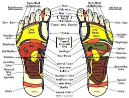 51 Right Nerve Endings In Feet Chart