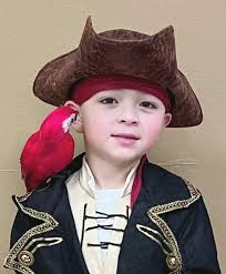 PFAS project cost jumps $10 million Webster caps virtual schools at 1  percent School budget discussion brings up “the O word T