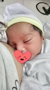 Triton 2025 smoked taillights for sale