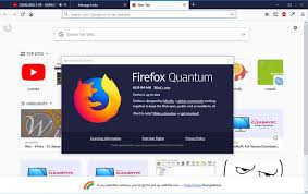 Click the download now button to download an official version of firefox. Download Mozilla Firefox Offline Installer 69 0 Yasir252