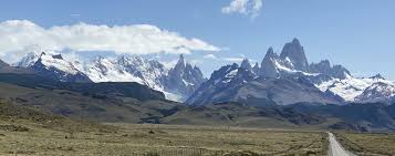 Image result for Memecylon torrei