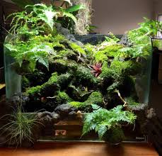 Do Aqua 60 P Waterfall Eto Est Domashnij Palyudariumchik S Domashnim Vodopadikom Garden Terrarium Aquascape Aquarium Patio Garden