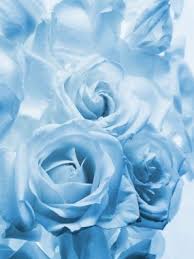 Collection by evammccann • last updated 9 days ago. Light Blue Roses Aesthetic 750x1000 Download Hd Wallpaper Wallpapertip