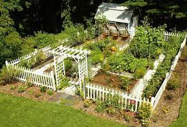 Pin On Garden