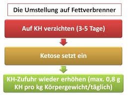 Hallo, setzt man hier vor welche ein komma? Die Stoffwechselumstellung Auf Hybridantrieb Mittels Ketose