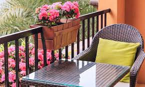 Boldo çayı nedir, faydaları nelerdir? En Guzel Balkon Cicekleri Bitki Onerileri Tavsiyeler Kadin