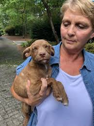 Diana Matthews Floyd Obituary November 2, 2024