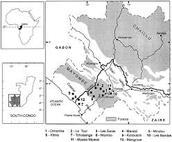 Image result for Thomandersia butayei