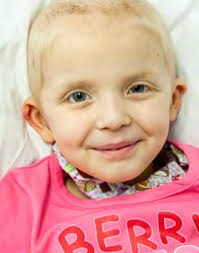 Impact Report 2012/13