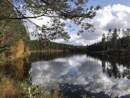 Aan de rand van het zweedse nationale park oerbos norra kvills, ligt tegen het kleine plaatsje ovrakulla de oude molenaarswinkel, vakantiehuis zweden, brogarden. Groepsreis Actieve Vakantie Dalarna Zweden