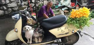 A lo largo de los años se consolidó como un país competitivo en el mercado internacional de se ubica como tercer productor de miel del mundo, precedido por china y turquía. El Festival De Carne De Perro Vuelve A Yulin Pese A Las Restricciones Y A La Polemica