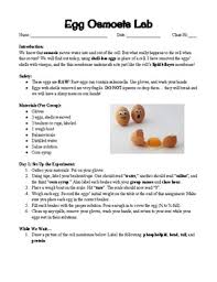 There should be two sides with some type of membrane in between. Egg Osmosis Lab By Kate S Science Shop Teachers Pay Teachers