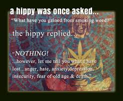 Jul 13, 2018 · go to hit your ooze pen and it just flashes at you? Stoner Hippie Quotes Novocom Top