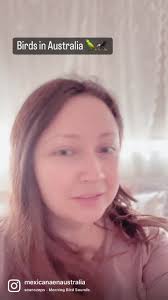 #australia #aussiewild #wakingupinthemorning #wakingupinaustralia  #strayamate #morningvibes #wildaustralia