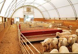 Sheep Barn Plans Goat Design