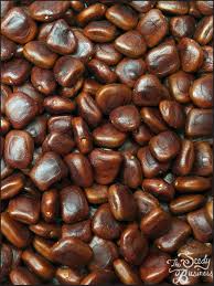 Image result for Tamarindus