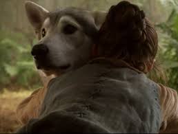 Images Dog Breeds Northern Inuit Dog What Dogs