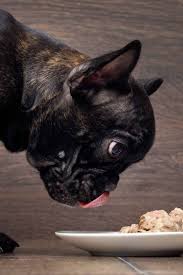 Any good dog food for boxers with gas will have a special formula, different from the ones found in ordinary. Best Food For French Bulldog Puppy Dogs Top Tips And Brand Reviews