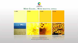 الاصفر المشمس Sunny Yellow Youtube